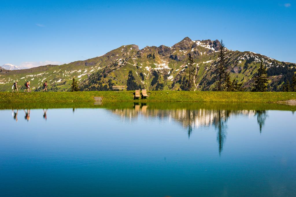 Hotel Voelserhof - Bergbahn Im Sommer 2025 Inklusive Bad Hofgastein Εξωτερικό φωτογραφία